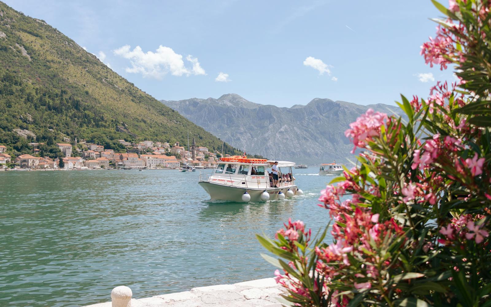Kayaking the Bay from the Coastal Road