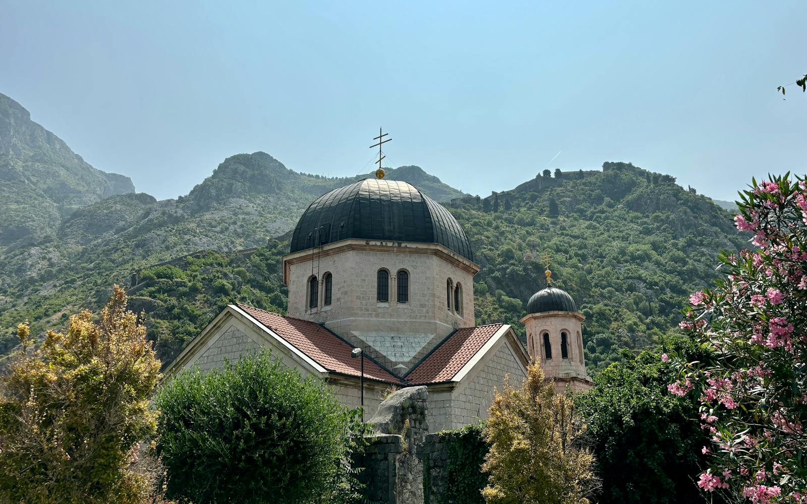 Spring Wildflower Drives: March to May