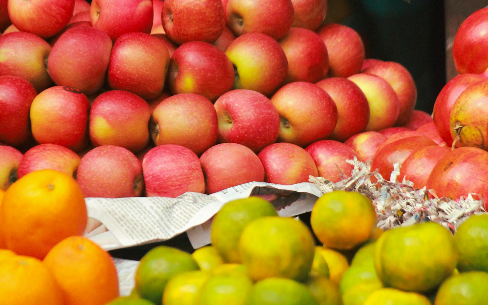 Market Day in Kotor: Fish, Cheese, and Wine
